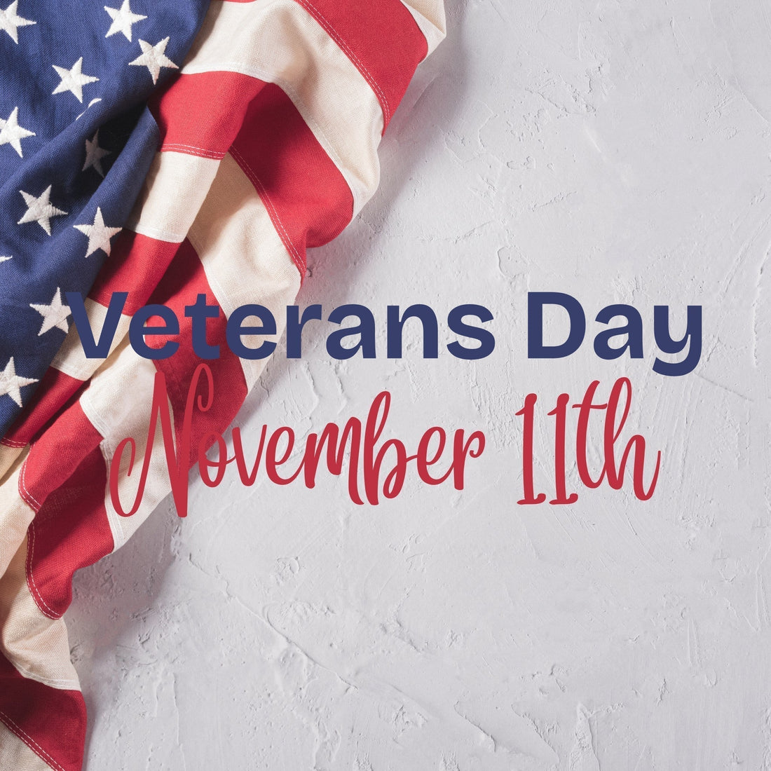 🇺🇸 Honoring Our Heroes: The Meaning of Veterans Day and How We Show Our Gratitude - BullyBelly