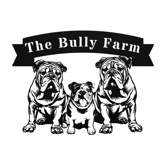 The_Bully_Farm_Metal_Wall_Art_Black_Transparent_Mockup.png_14112858