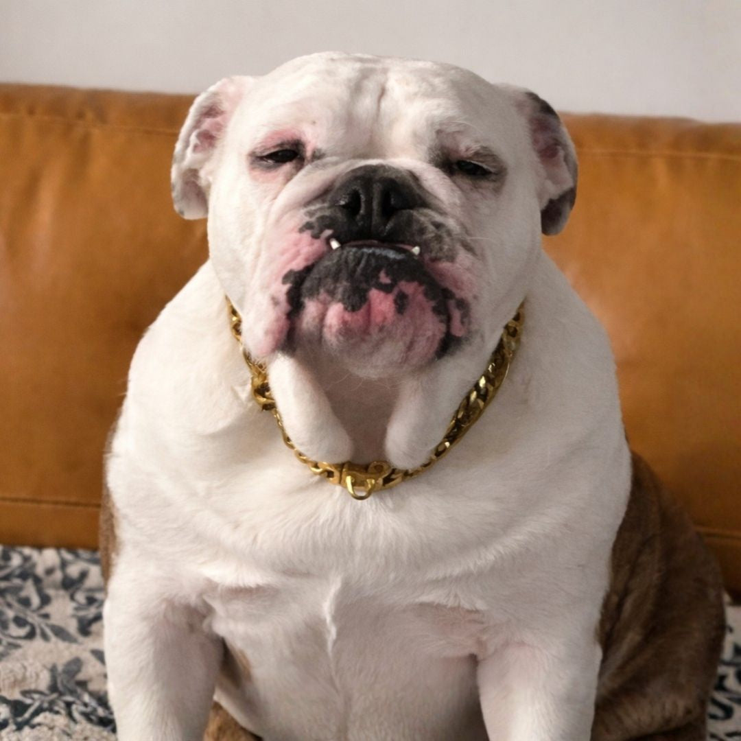 Untitled design (58).jpg__PID:4d79c068-1027-4783-ae83-de73e6225c4f