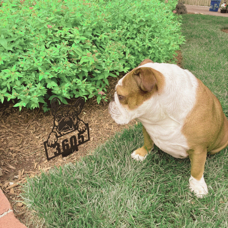 Cute French Bulldog Metal Lawn Sign - BullyBellyLawn Art