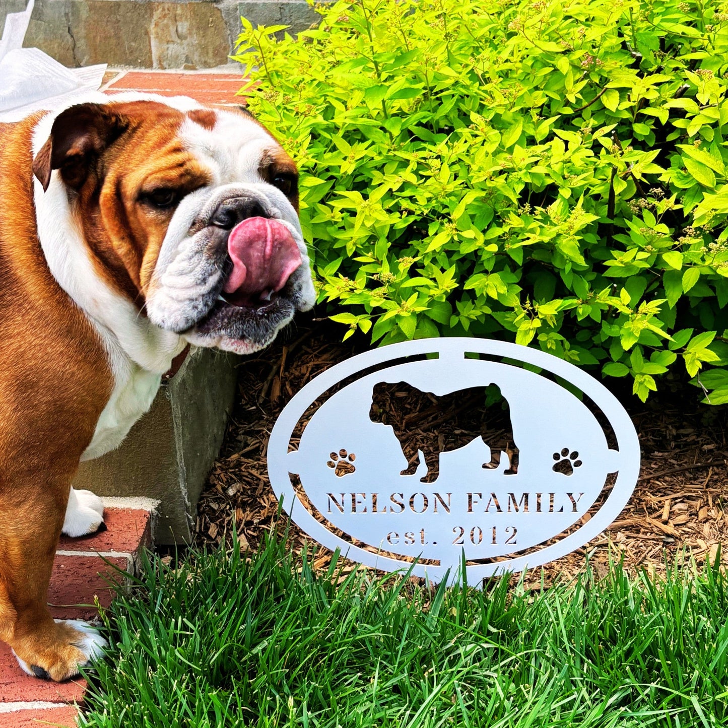 English Bulldog Family Yard Sign - BullyBellyMetal Sign