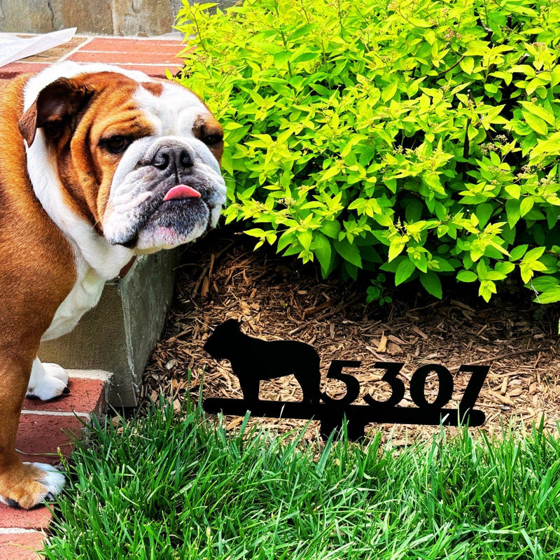 English Bulldog House Number Lawn Sign - BullyBellyLawn Art