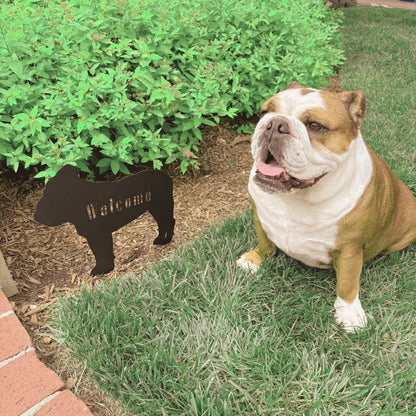 English Bulldog Welcome Lawn Sign - BullyBellyMetal Sign