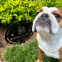 French Bulldog Family Yard Sign - BullyBellyMetal Sign