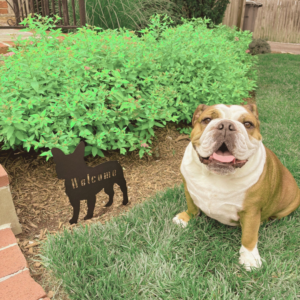 French Bulldog Welcome Lawn Sign - BullyBellyMetal Sign