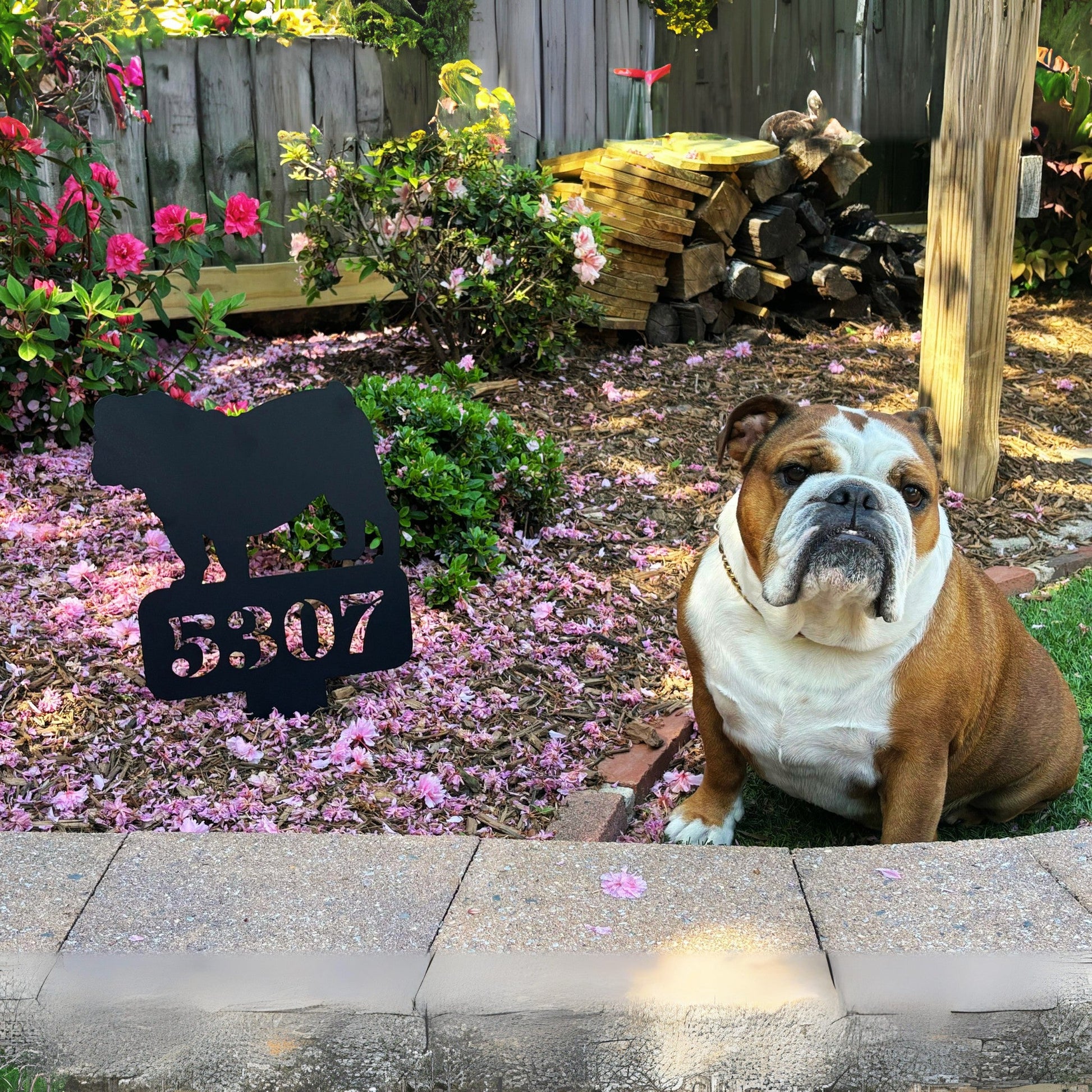Lawn English Bulldog House Number Yard Sign