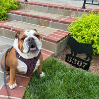 Lawn English Bulldog House Number Yard Sign - BullyBellyMetal Sign